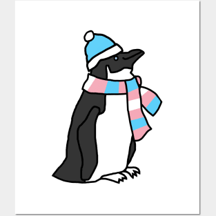 Penguin and Transgender Pride Flag Scarf and Blue Hat Posters and Art
